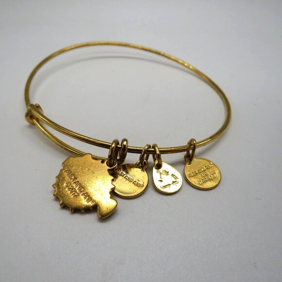 Alex Ani Bracelet Gold Tone Bangle Puffer Fish USA Charms Adjustable - Picture 10 of 11